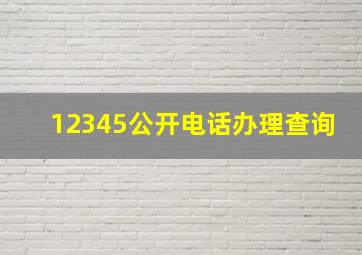 12345公开电话办理查询