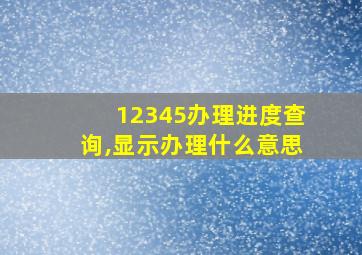 12345办理进度查询,显示办理什么意思