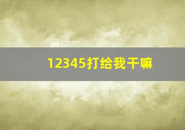 12345打给我干嘛