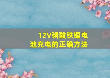 12V磷酸铁锂电池充电的正确方法