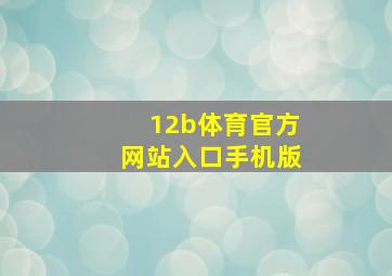 12b体育官方网站入口手机版