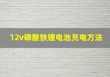 12v磷酸铁锂电池充电方法