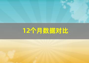 12个月数据对比