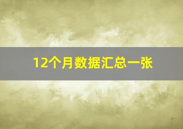 12个月数据汇总一张