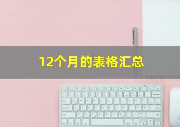 12个月的表格汇总