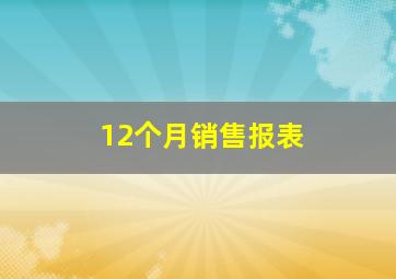 12个月销售报表