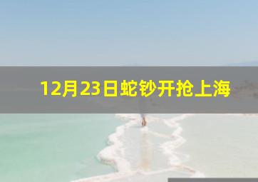 12月23日蛇钞开抢上海