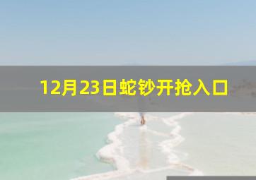 12月23日蛇钞开抢入口