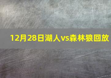 12月28日湖人vs森林狼回放