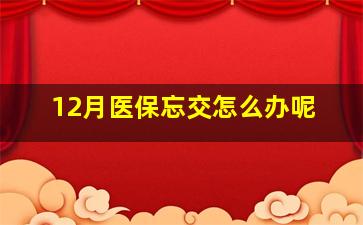 12月医保忘交怎么办呢