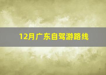 12月广东自驾游路线