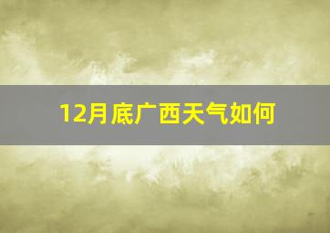 12月底广西天气如何