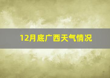 12月底广西天气情况