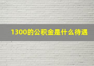 1300的公积金是什么待遇