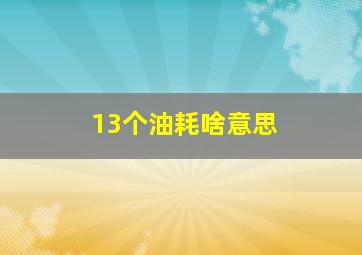 13个油耗啥意思