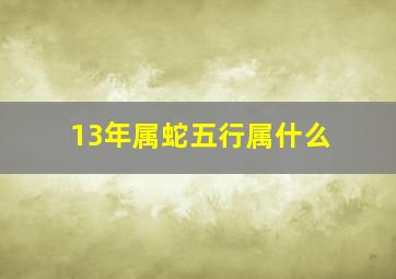 13年属蛇五行属什么