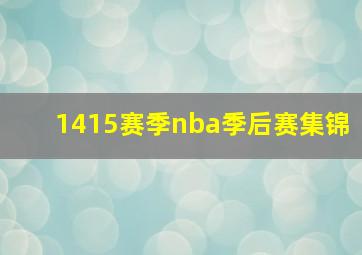 1415赛季nba季后赛集锦