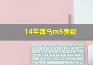 14年海马m5参数