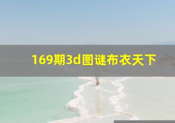 169期3d图谜布衣天下