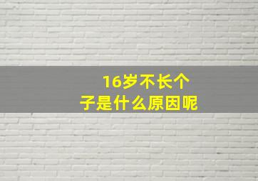 16岁不长个子是什么原因呢