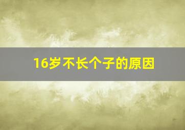 16岁不长个子的原因