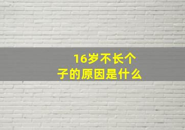 16岁不长个子的原因是什么