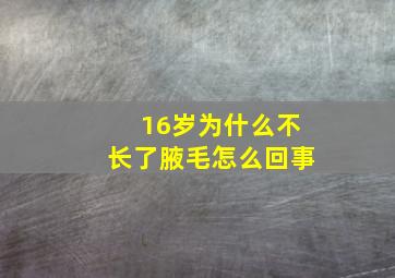 16岁为什么不长了腋毛怎么回事