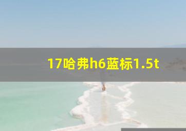 17哈弗h6蓝标1.5t