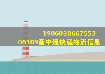 190603066755306109查中通快递物流信息