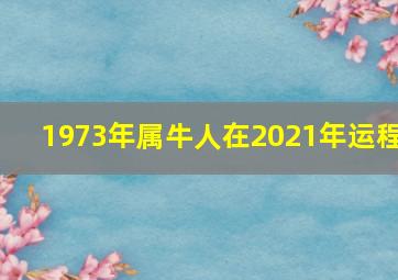 1973年属牛人在2021年运程