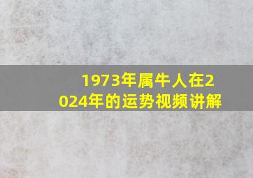 1973年属牛人在2024年的运势视频讲解