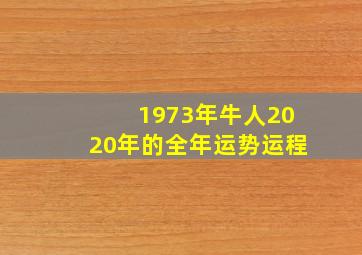 1973年牛人2020年的全年运势运程