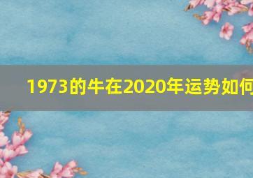 1973的牛在2020年运势如何