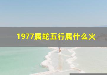 1977属蛇五行属什么火