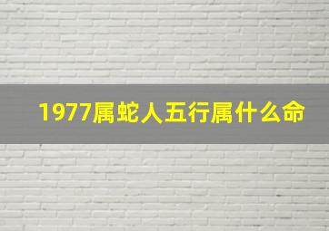 1977属蛇人五行属什么命