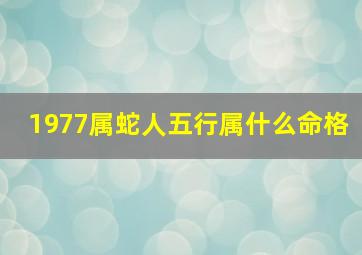 1977属蛇人五行属什么命格