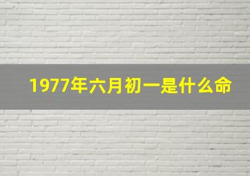 1977年六月初一是什么命