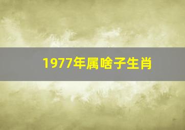 1977年属啥子生肖