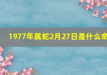 1977年属蛇2月27日是什么命