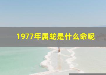 1977年属蛇是什么命呢