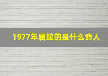 1977年属蛇的是什么命人