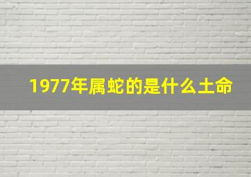 1977年属蛇的是什么土命