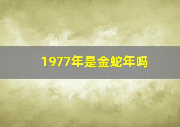 1977年是金蛇年吗