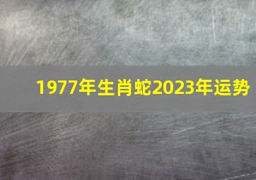 1977年生肖蛇2023年运势