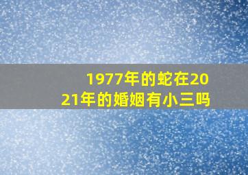 1977年的蛇在2021年的婚姻有小三吗