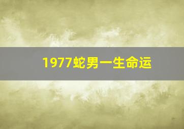 1977蛇男一生命运