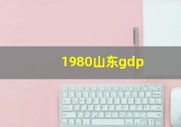 1980山东gdp