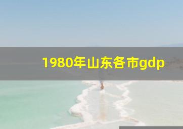 1980年山东各市gdp