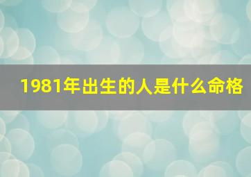 1981年出生的人是什么命格