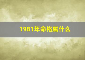 1981年命格属什么